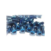 Titanschraube M6 konisch Silber 20mm